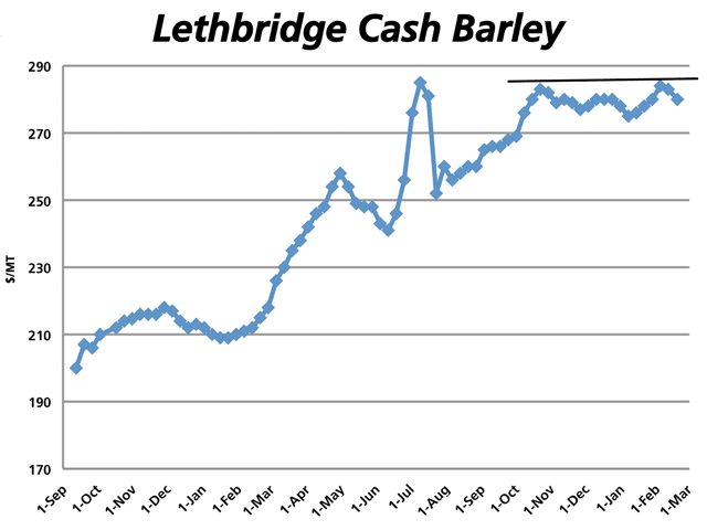 Despite tight feed supplies on the Prairies, cash barley at southern Alberta feedlots continues to trade sideways in the $280 to $284 range, as it has since mid-October. (DTN Graphic by Nick Scalise)